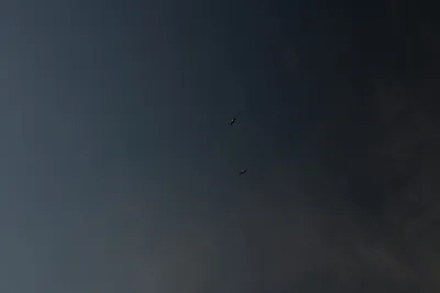 DSC_0265 (Large).JPG